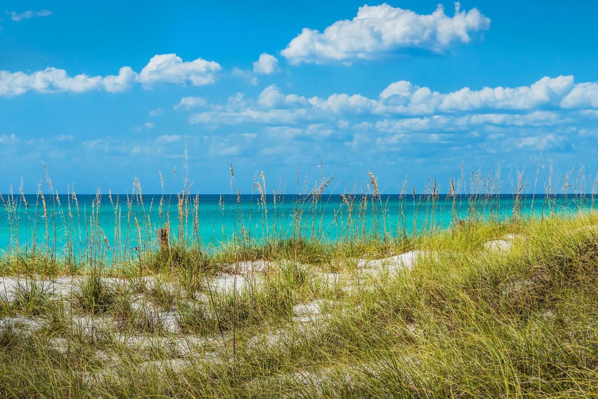 Calypso 1-608 East Aparthotel Panama City Beach Eksteriør bilde